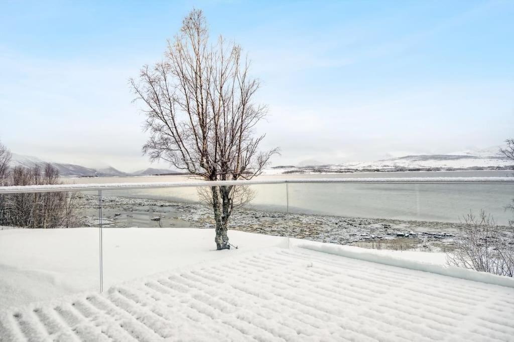 Hus Med Egen Strandlinje ترومسو المظهر الخارجي الصورة